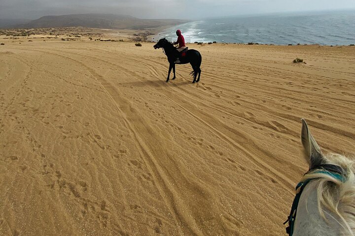 Horse riding on Timlaline beach