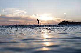 Surfer riding a wave at Timlaline